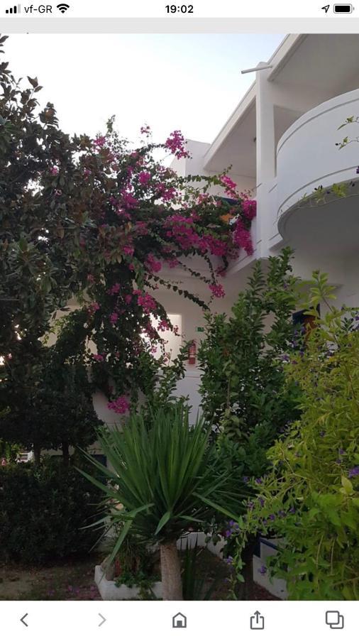 Danae Hotel Faliraki Eksteriør bilde